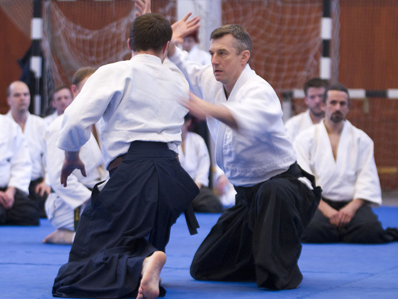 Interjú Roman Hoffmann aikido oktatóval